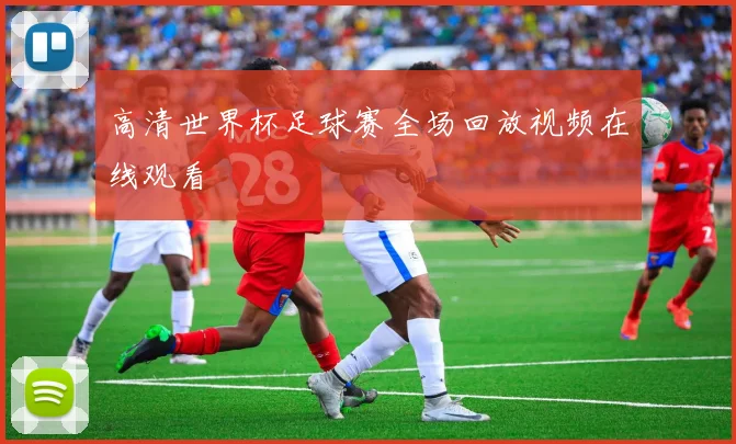 高清世界杯足球赛全场回放视频在线观看